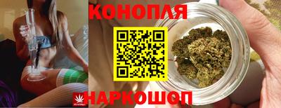 прущие крисы Гусев
