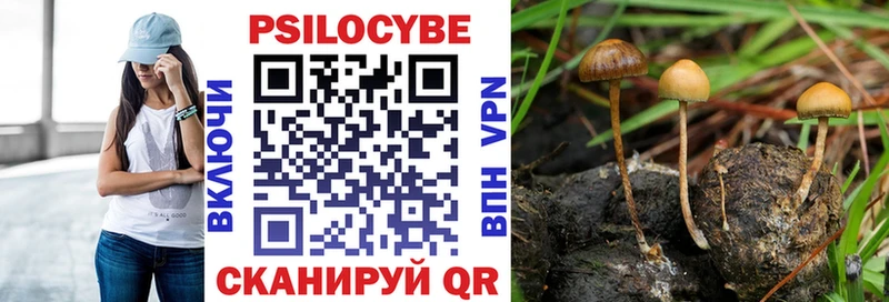 Псилоцибиновые грибы Psilocybine cubensis  Когалым 