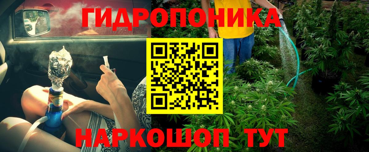 Шишки марихуана OG Kush  Марихуана марихуана  Когалым  Вход с VPN  Шишки марихуана ГИДРОПОН 
